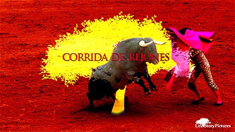 Corrida de Rejónes – Bullfight on a Horse