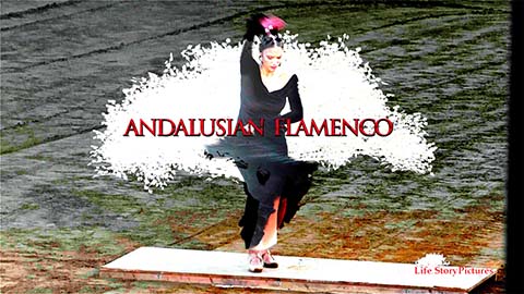 Andalusian Flamenco